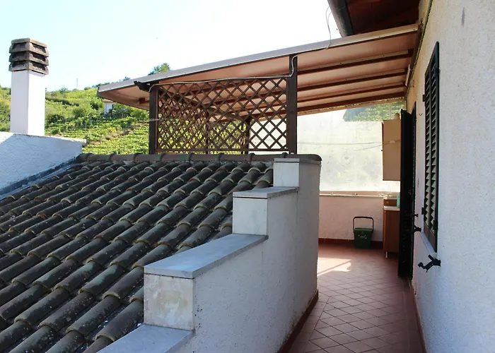 Carpediem * كارارا