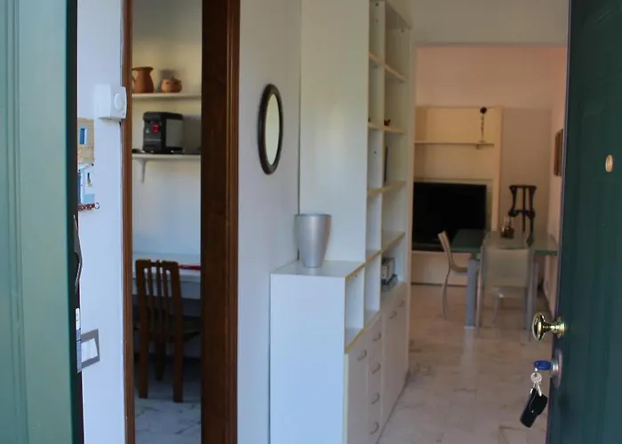 Carpediem كارارا